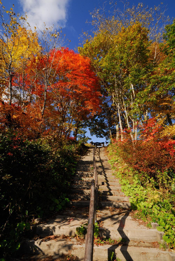 Scenery 9