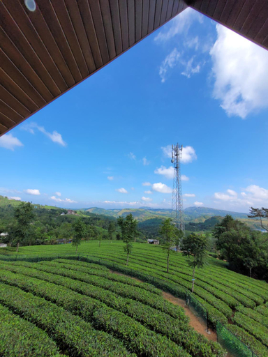Others 4, Cloud Canopy - Tea Garden Family Pool Cottage in Vagamon, Idukki