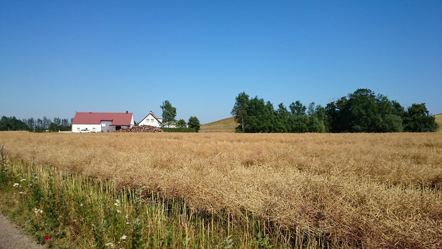 Others 2, Bed & Breakfast Vinkille, Ystad