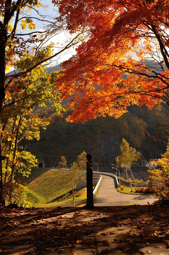 Scenery 7