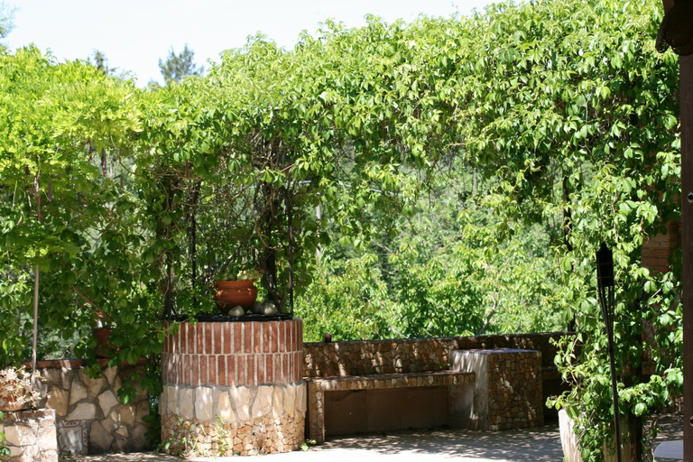 Surrounding environment 4, Casa vacanze Villa Tiziana Chalet di campagna, Bari