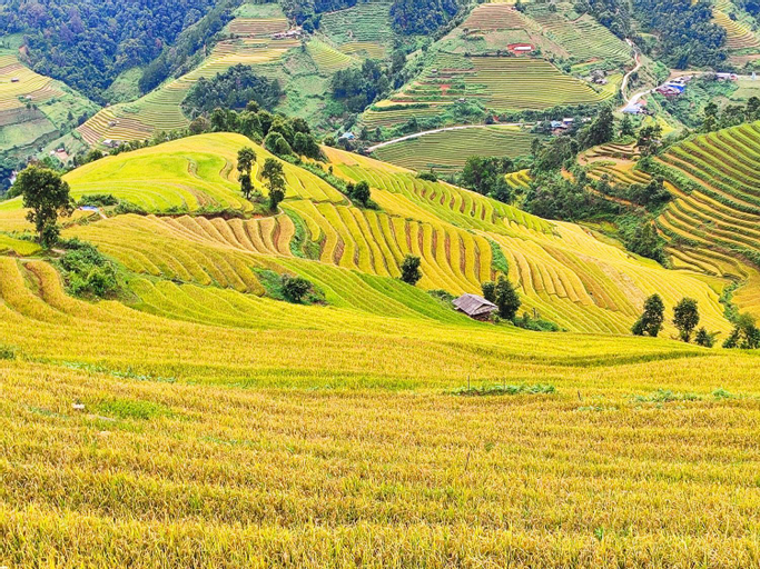 Scenery 12