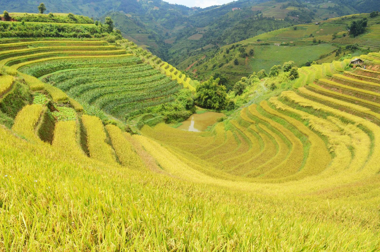 Scenery 6