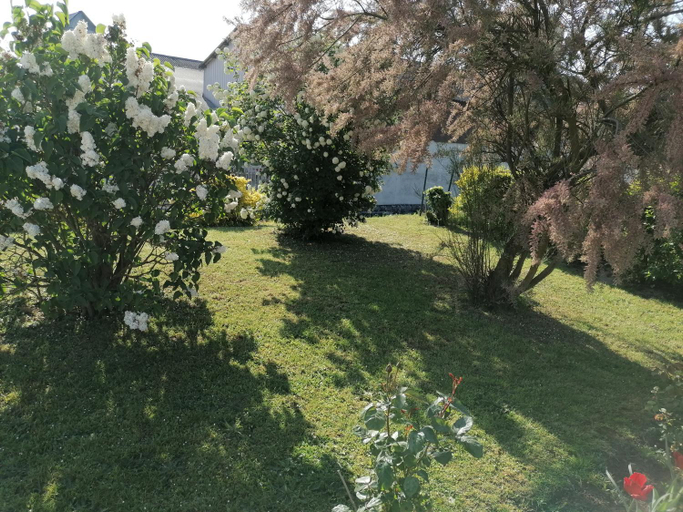 Others 5, Chez Nicole, Sarthe