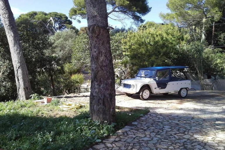 Others 2, Villa Niel - acces direct mer et piscine, Var