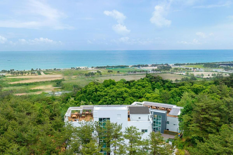 Others 5, Zio Pintree, Yangyang