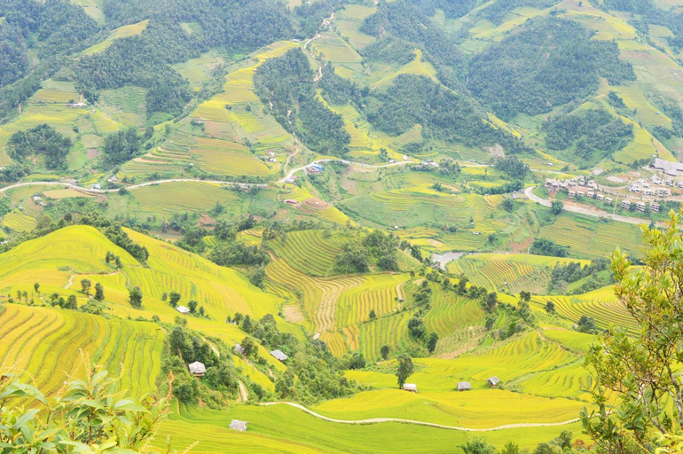 Scenery 7