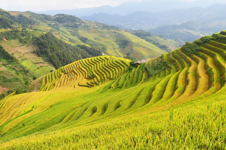 Scenery 17