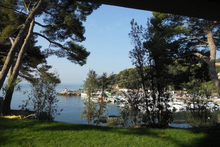 Others 3, Villa Niel - acces direct mer et piscine, Var