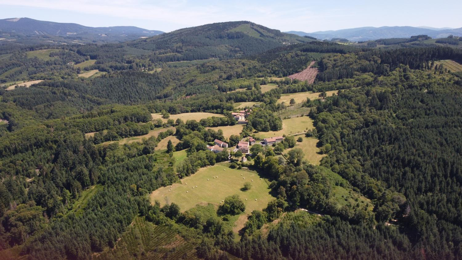 Others 5, Domaine de Montvianeix, Puy-de-Dôme