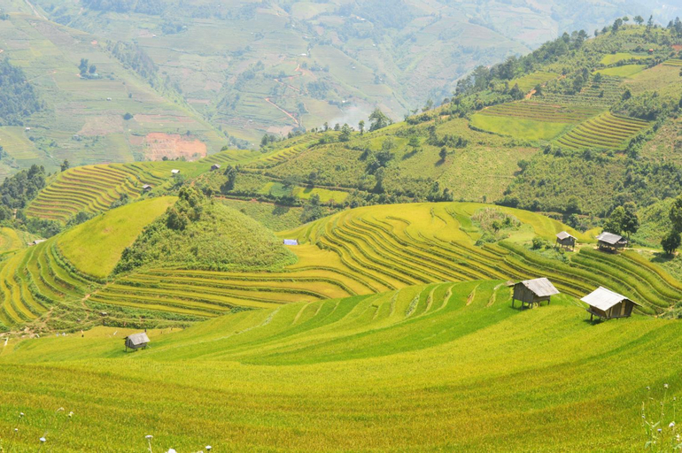 Scenery 5