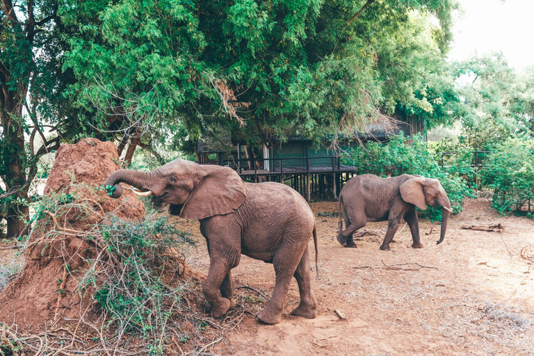 Others 5, Pafuri Camp by RETURN Africa, Vhembe