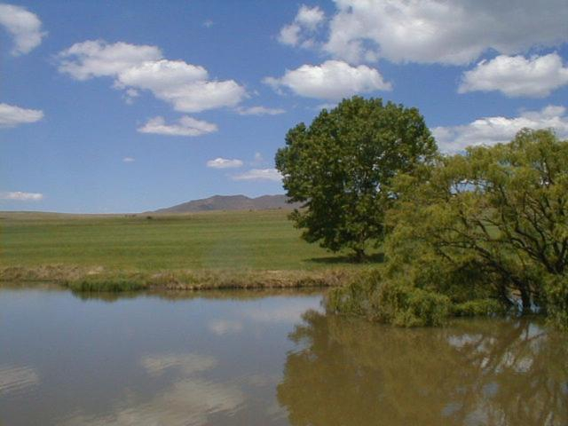 Others 5, Royal Coachman, Thabo Mofutsanyane