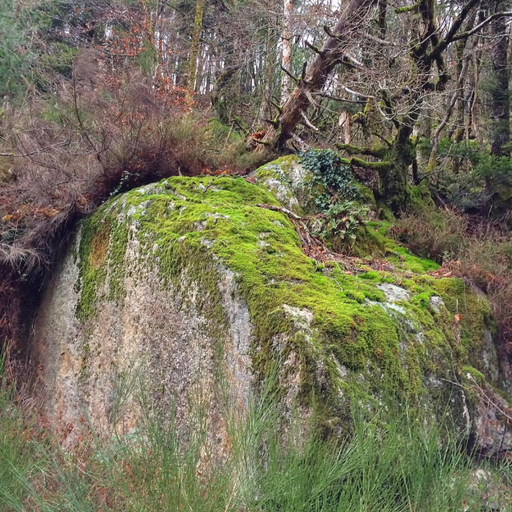 Others 2, B and B Sycomore, La Bouriotte, Tarn