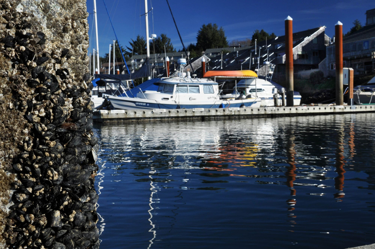 Exterior & Views 2, Embarcadero Resort Hotel & Marina, Lincoln
