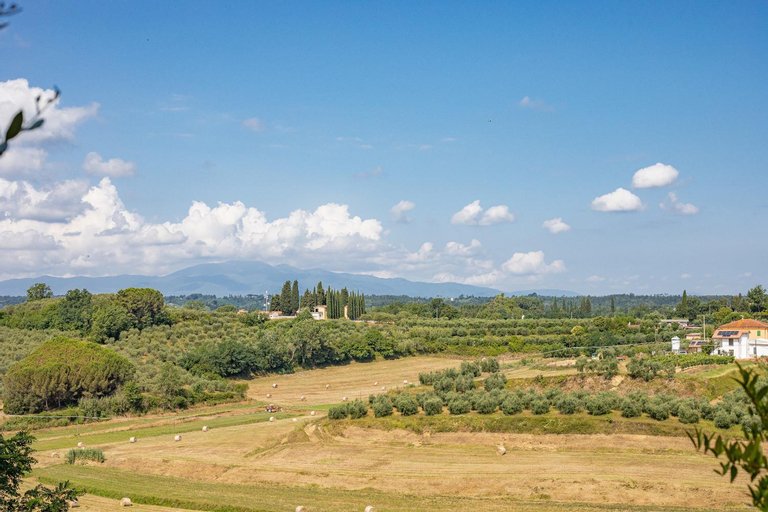 Exterior & Views 5, Fienile Cipresso, art of living Tuscany, Florence