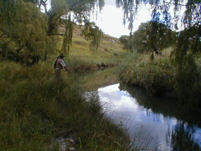 Others 2, Royal Coachman, Thabo Mofutsanyane