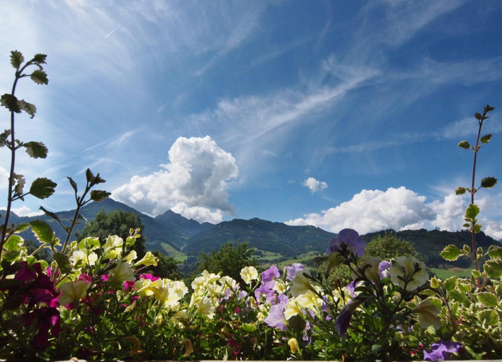 Others 4, Gasthof Pesbichl, Sankt Johann im Pongau