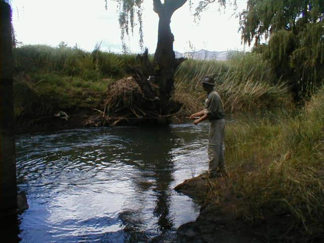 Others 3, Royal Coachman, Thabo Mofutsanyane