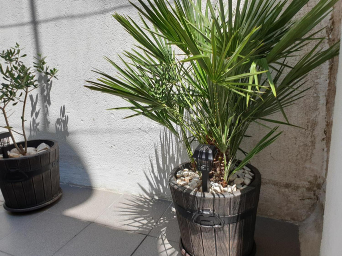Others 5, LEMON TREE, Trogir