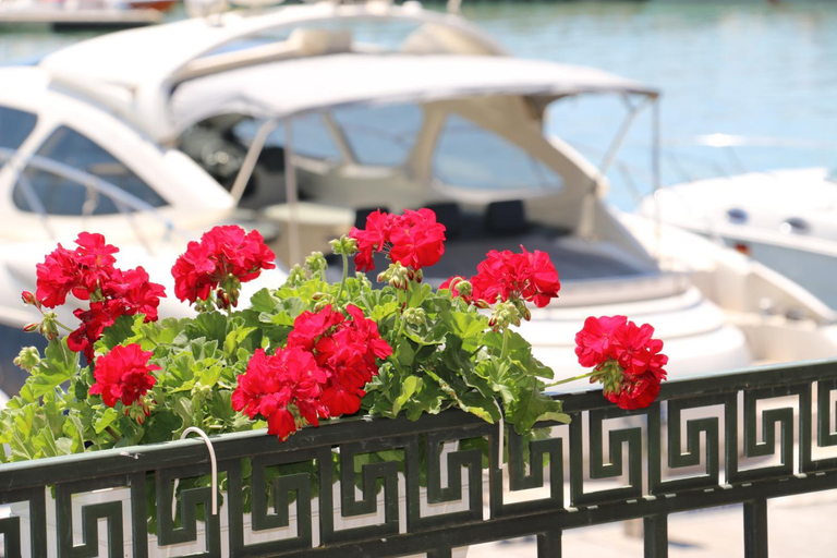Sport & Beauty 2, Hotel Mistral, Balchik