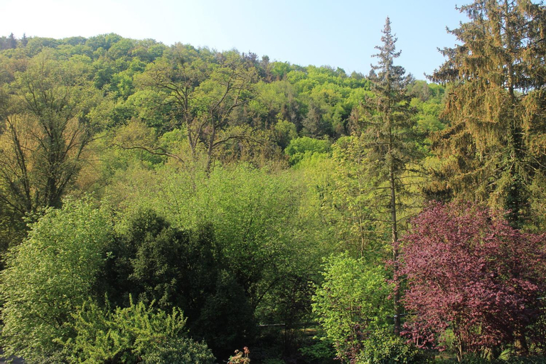 Exterior & Views 4, Großzugiges Zimmer mit Terrasse am Rheinsteig, Neuwied