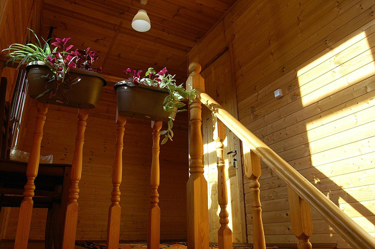 Others 3, Badishi Guesthouse, Mestia