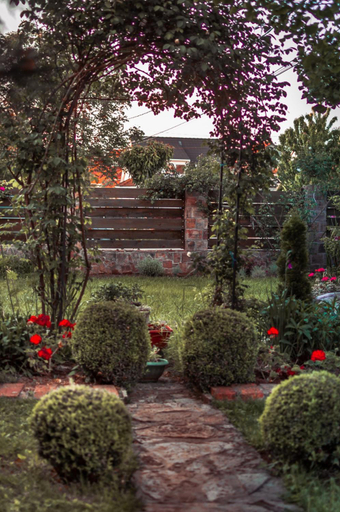 Others 4, Aerport - Natura Apartment, Belgrade