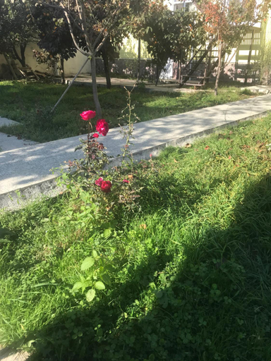 Others 4, Apartments Firuze, Qəbələ