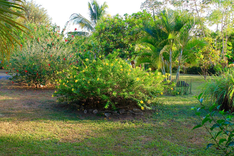 Others 5, La Casa de Pucha Surf History & Tropical Stay, Pedasí