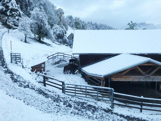 Others 4, Hotel Garni Brigitte, Bludenz