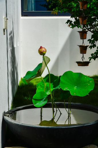 Garden 5, Begonia B&B, Taitung