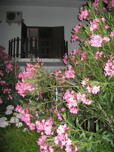 Exterior & Views 2, Casa Morgado, Almeida