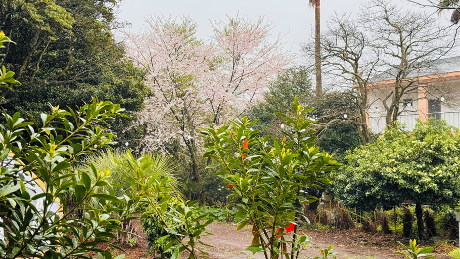 Others 5, Gardeninjeju, Seogwipo