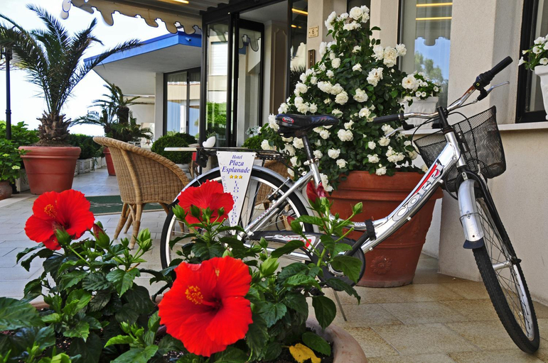 Exterior & Views, Hotel Plaza Esplanade, Venezia
