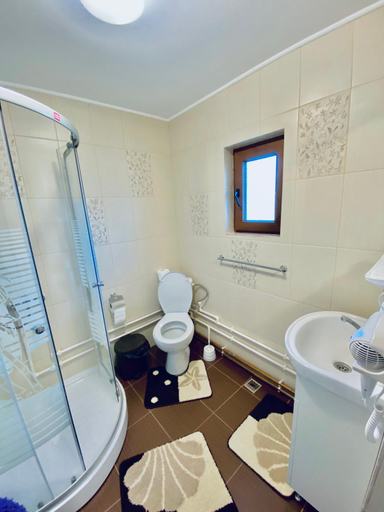 Bathroom 3, Pensiunea Angelica, Baia De Fier