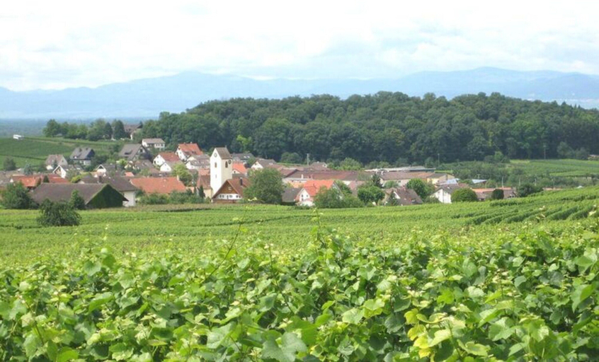 Others 4, Ferienwohnung in Bischoffingen, Breisgau-Hochschwarzwald