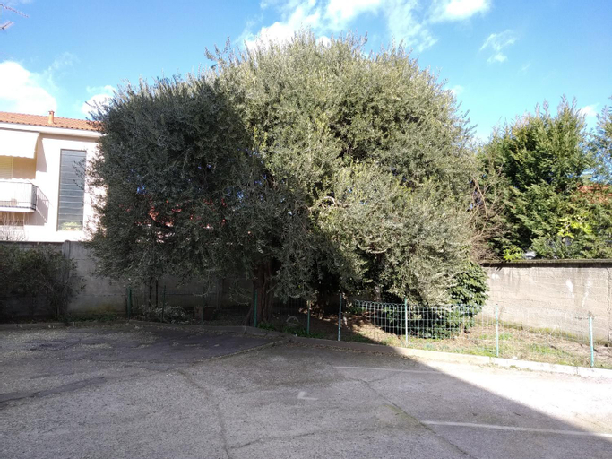 Exterior & Views 1, appartamenti olivo, Pavia