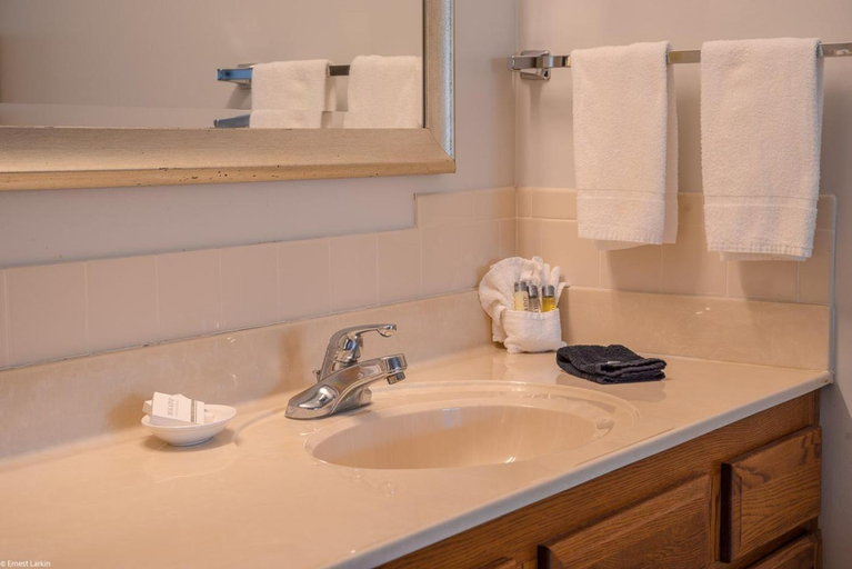 Bathroom 4, Townsend River Breeze Inn, Blount