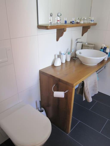Bathroom, Switzerland Iseltwald Apartment, Interlaken