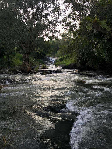 Others 3, Sharada Residency , Kodagu