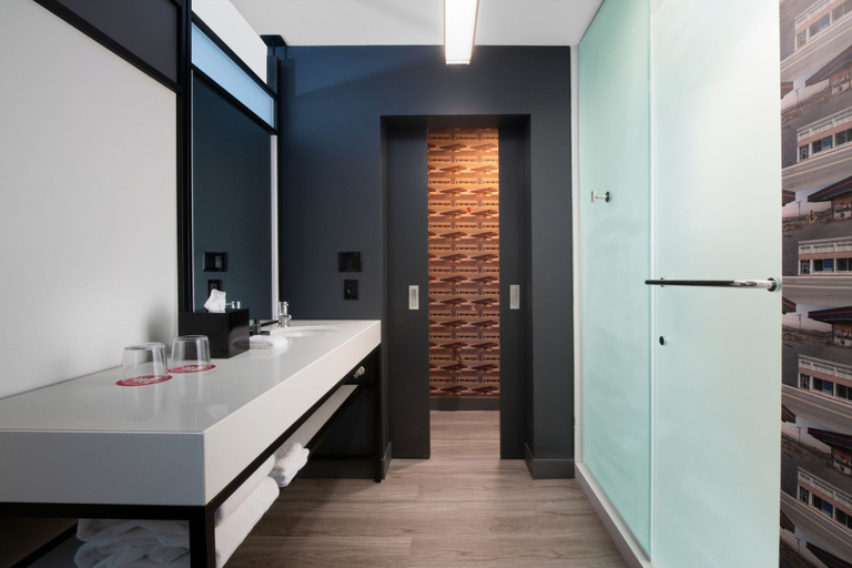 Bathroom 3, Aloft by Marriott McAllen, Hidalgo