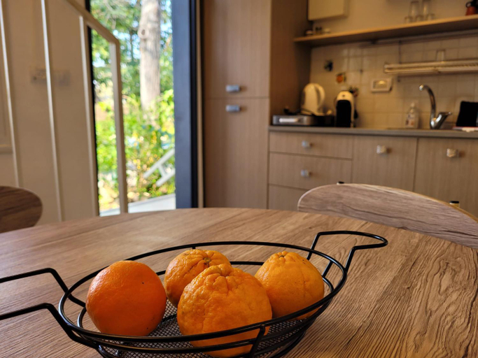Food & Drinks 4, Nuriel Fruit & Guest House