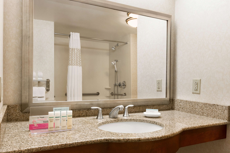 Bathroom 5, Hampton Inn Warrenton , Fauquier