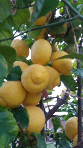 Food & Drinks 4, Rita b&b sea sun and nature, Sassari