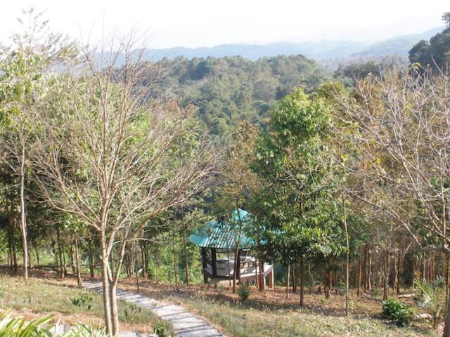 Others 4, Tafelberg detached bungalow with swimming pool, Mae Chan