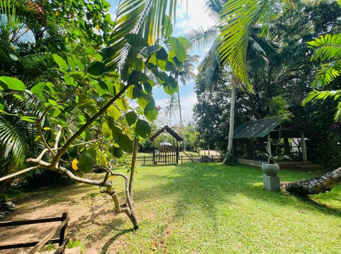 Others 4, Krishan Villa, Katana