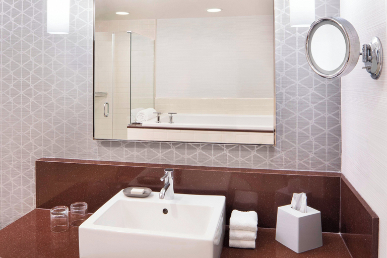 Bathroom 5, Le Meridien Arlington, Arlington