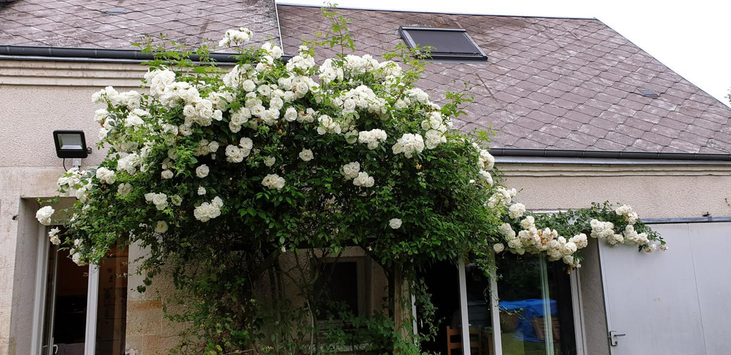 Garden 5, Le Coffret d'avenir, Loiret