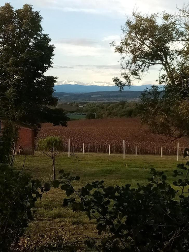 Others 4, Domaine de buffevent, Haute-Garonne